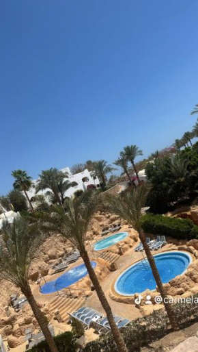 Domina Coral Bay